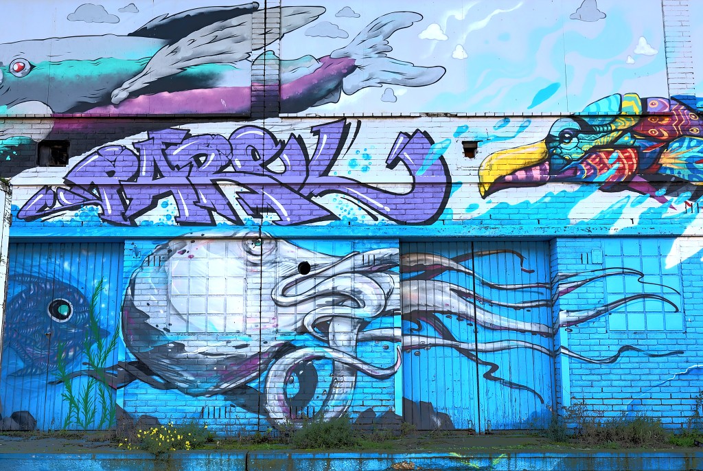 Graffiti art hdr kunst kunstwerk urbex mural murals straatkunst